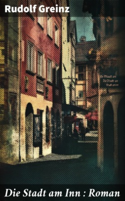 Die Stadt am Inn : Roman