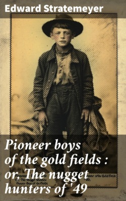 Pioneer boys of the gold fields : or, The nugget hunters of '49