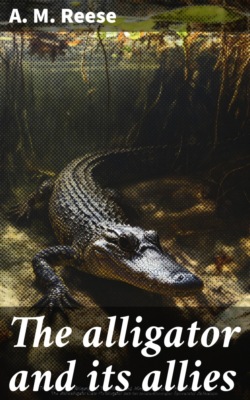 The alligator and its allies