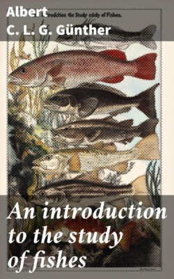 An introduction to the study of fishes