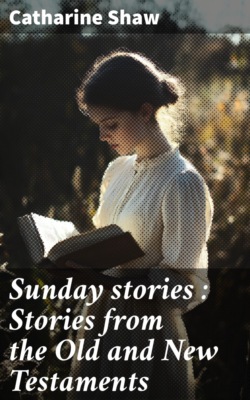 Sunday stories : Stories from the Old and New Testaments