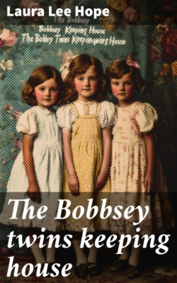The Bobbsey twins keeping house