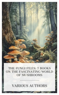 The Fungi Files: 7 Books on the Fascinating World of Mushrooms