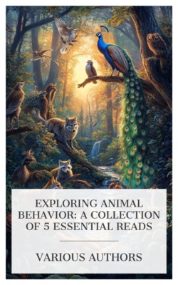 Exploring Animal Behavior: A Collection of 5 Essential Reads