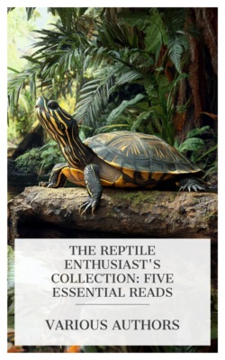 The Reptile Enthusiast's Collection: Five Essential Reads