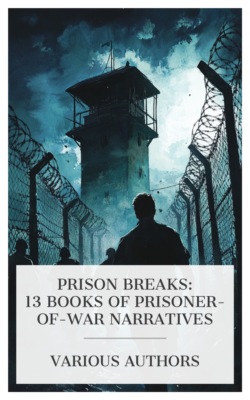 Prison Breaks: 13 Books of Prisoner-of-War Narratives