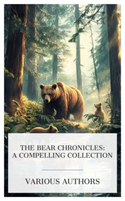 The Bear Chronicles: A Compelling Collection