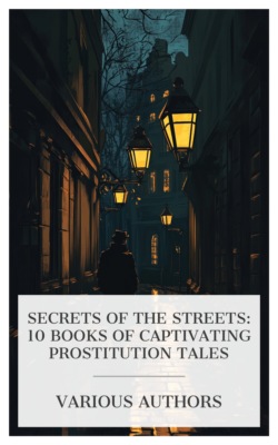 Secrets of the Streets: 10 Books of Captivating Prostitution Tales