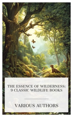 The Essence of Wilderness: 9 Classic Wildlife Books