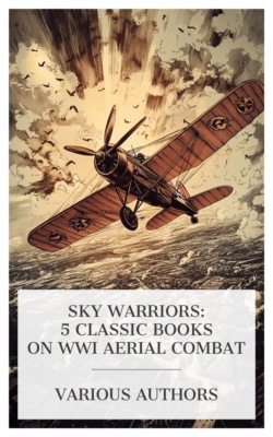 Sky Warriors: 5 Classic Books on WWI Aerial Combat