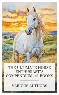 The Ultimate Horse Enthusiast's Compendium: 41 Books