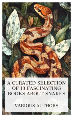 A Curated Selection of 13 Fascinating Books About Snakes