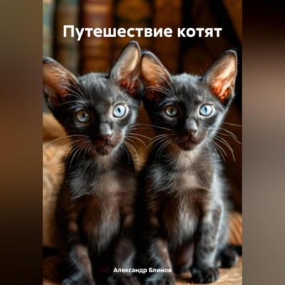 Путешествие котят.