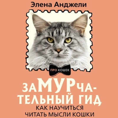 ЗаМУРчательный гид. Как научиться читать мысли кошки
