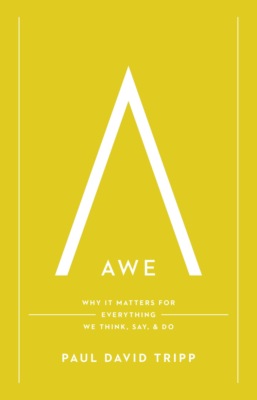 Awe (with Study Questions)