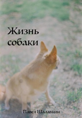 Жизнь собаки
