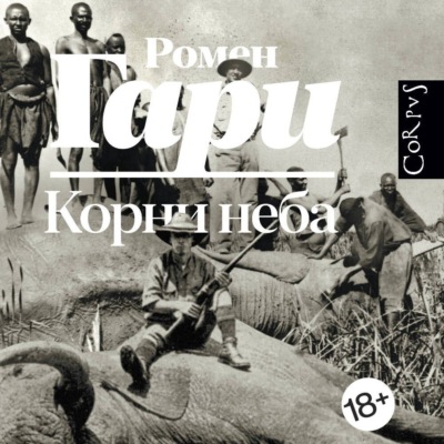 Корни неба