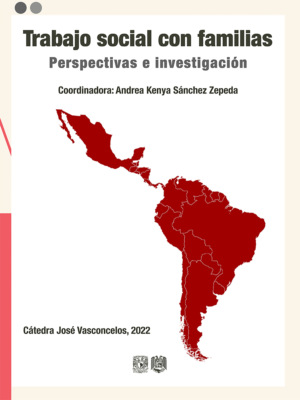 Trabajo social con familias. Perspectivas e investigación