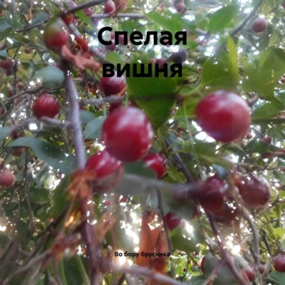 Спелая вишня