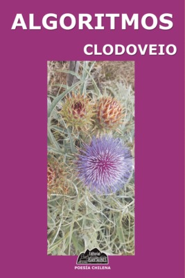 Algoritmos
