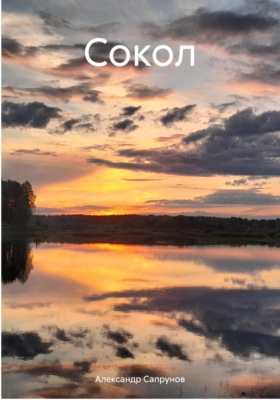 Сокол