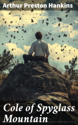 Edaville Railroad : The Cranberry Belt