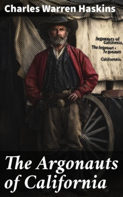 The Christmas earnings : Or, Ethel Fletcher's temptation