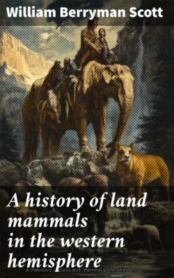 Handbook on dress and cloak cutting