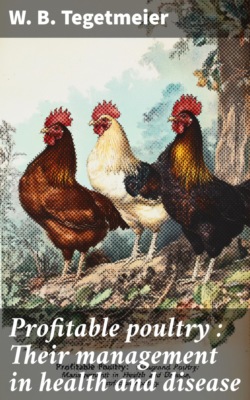 The collected stories of Elisabeth Sanxay Holding