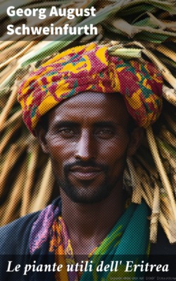 Christmas under three flags