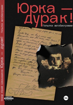 Юрка - дурак! Попытка автобиографии