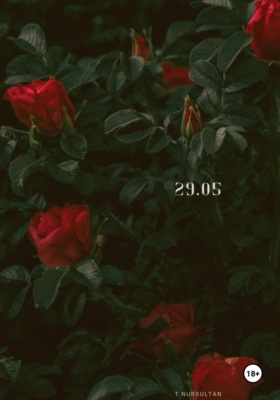 29.05