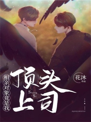 相亲对象竟是我顶头上司