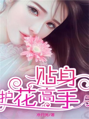 贴身护花高手
