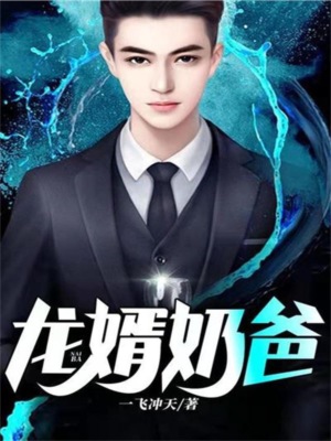 龙婿奶爸
