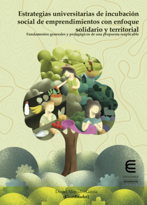 Estrategias universitarias de incubación social de emprendimientos con enfoque solidario y territorial