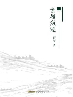 素履浅迹