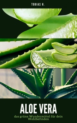Aloe Vera - das grüne Wundermittel für dein Wohlbefinden