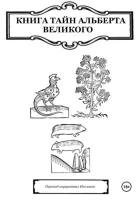 Книга Тайн Альберта Великого