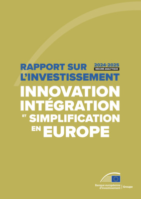 Rapport 2024-2025 sur l'investissement – Résumé analytique
