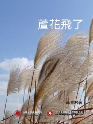 蘆花飛了
