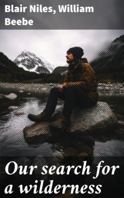 Our search for a wilderness