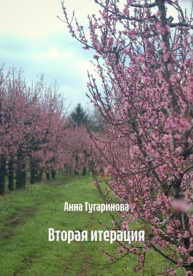 Вторая итерация