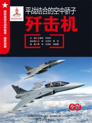 平战结合的空中骄子——歼击机