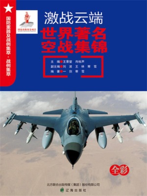 激战云端：世界著名空战集锦