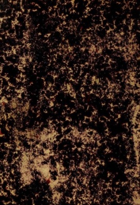 Tercüme-yi Mirkat