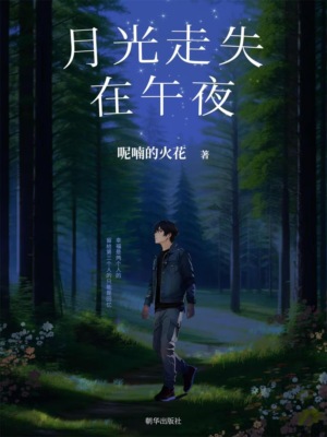 月光走失在午夜