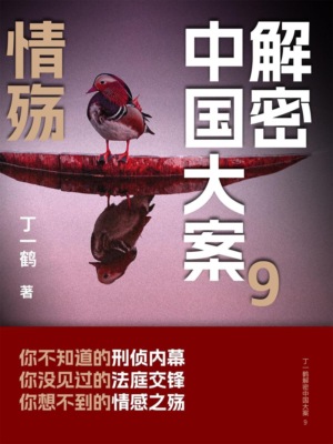 解密中国大案9：情殇