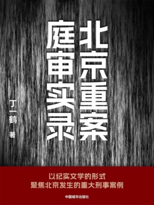 北京重案庭审实录