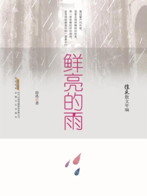 徐迅散文年编：鲜亮的雨
